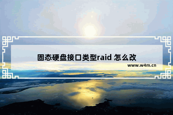 固态硬盘接口类型raid 怎么改