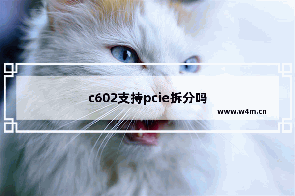 c602支持pcie拆分吗