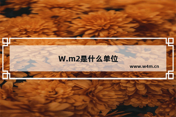 W.m2是什么单位