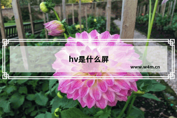 hv是什么屏