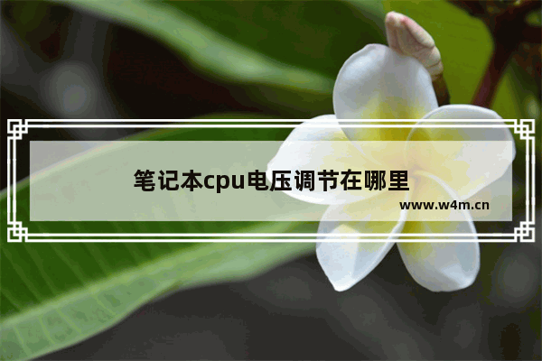 笔记本cpu电压调节在哪里