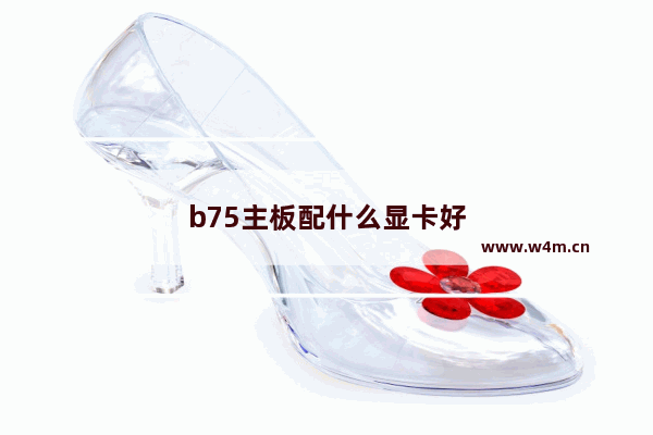 b75主板配什么显卡好