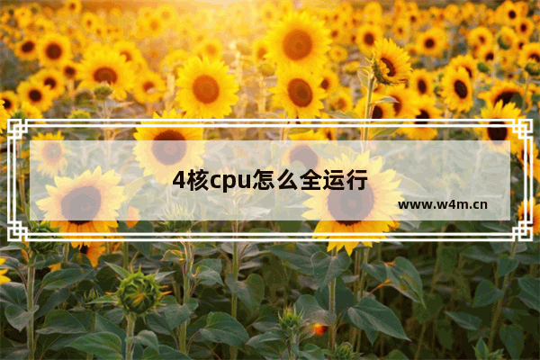 4核cpu怎么全运行