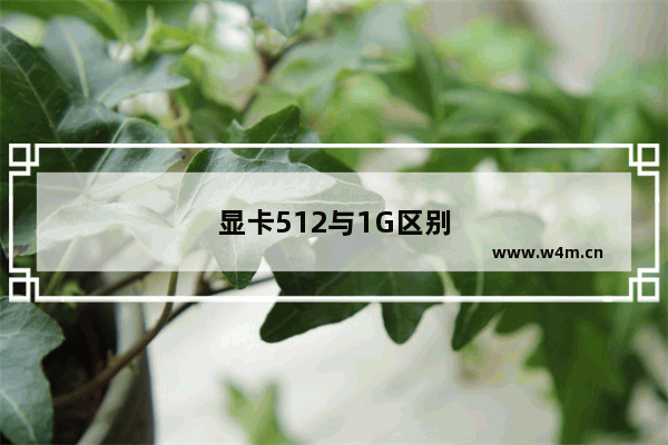 显卡512与1G区别