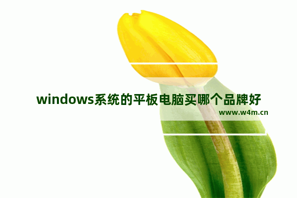 windows系统的平板电脑买哪个品牌好