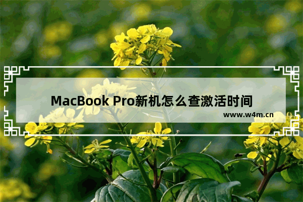 MacBook Pro新机怎么查激活时间 还有SSD的通电时间