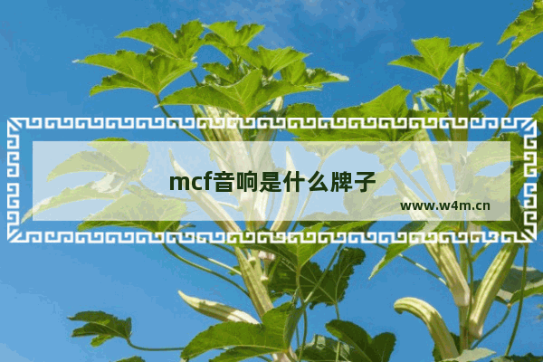 mcf音响是什么牌子