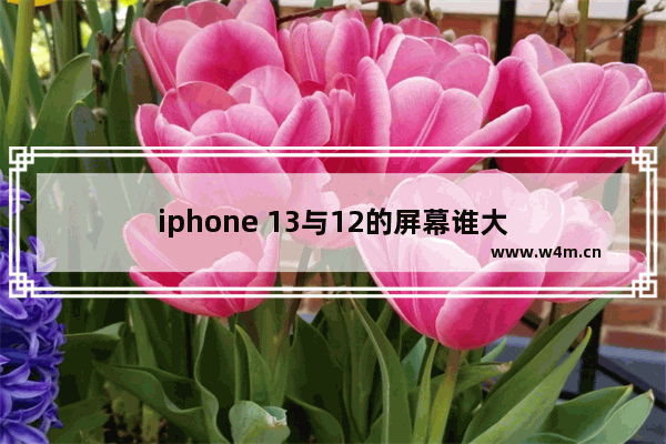 iphone 13与12的屏幕谁大