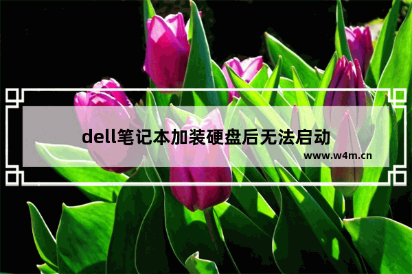 dell笔记本加装硬盘后无法启动