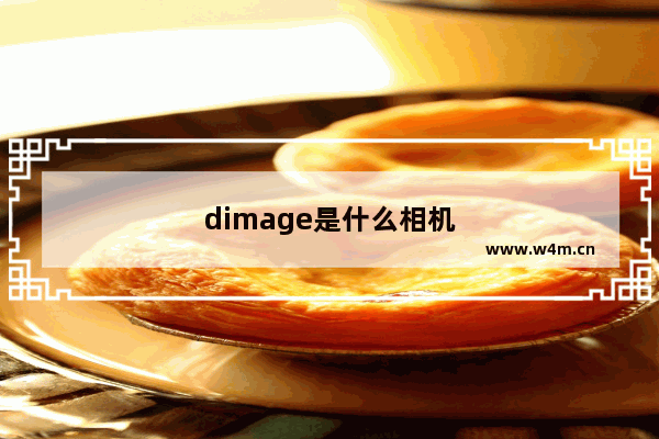 dimage是什么相机