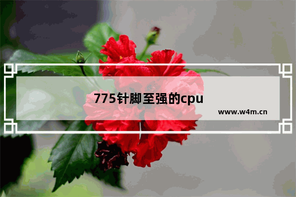 775针脚至强的cpu