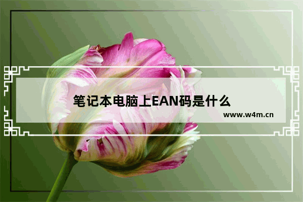 笔记本电脑上EAN码是什么