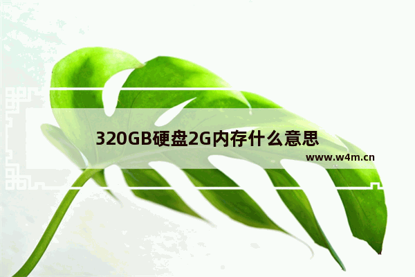 320GB硬盘2G内存什么意思