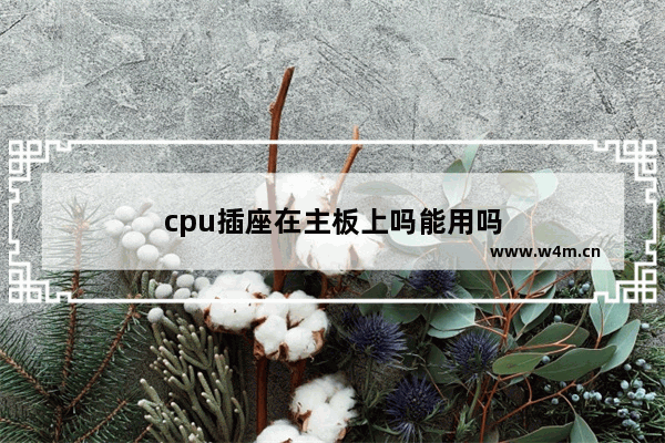 cpu插座在主板上吗能用吗