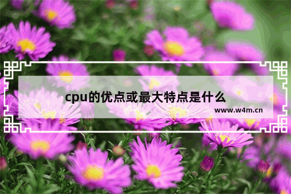 cpu的优点或最大特点是什么