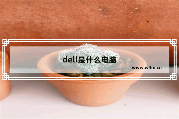 dell是什么电脑