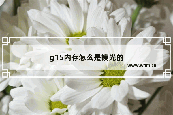 g15内存怎么是镁光的