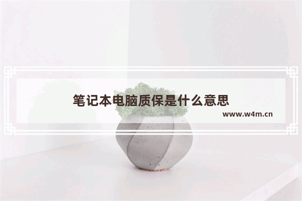 笔记本电脑质保是什么意思