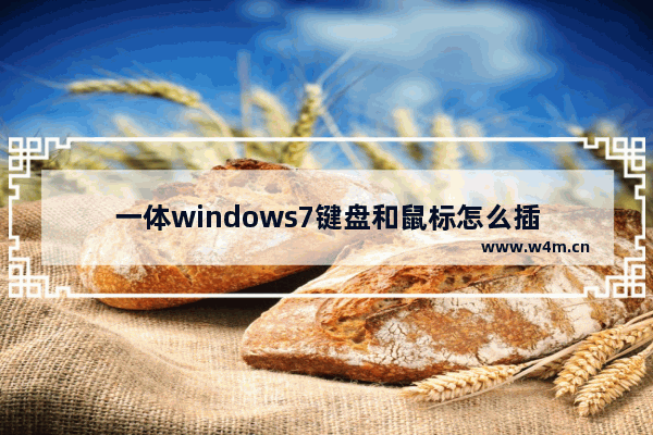 一体windows7键盘和鼠标怎么插