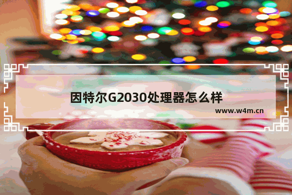 因特尔G2030处理器怎么样