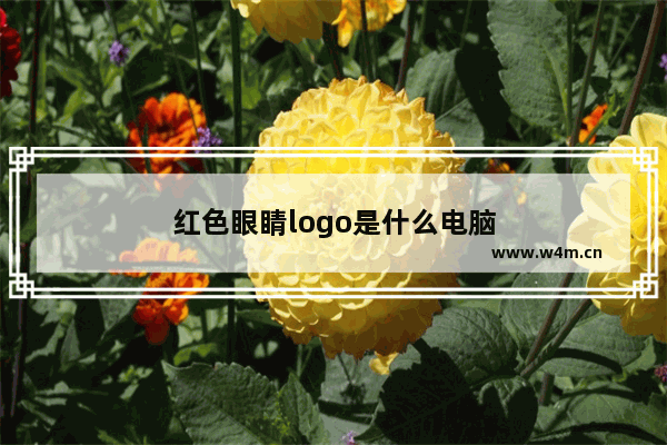 红色眼睛logo是什么电脑