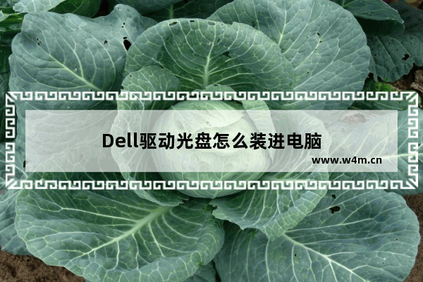 Dell驱动光盘怎么装进电脑