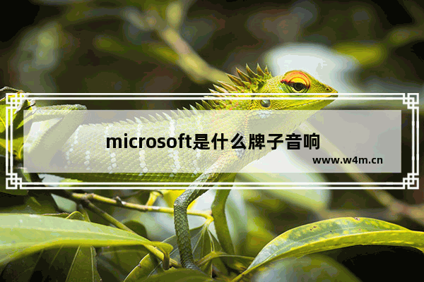 microsoft是什么牌子音响