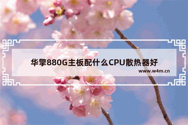 华擎880G主板配什么CPU散热器好