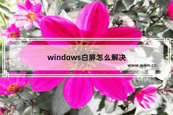 windows白屏怎么解决