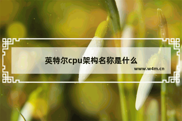 英特尔cpu架构名称是什么