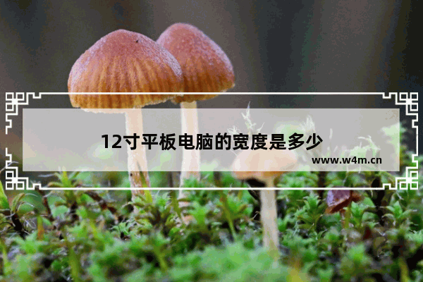 12寸平板电脑的宽度是多少