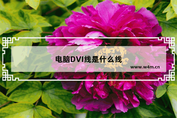 电脑DVI线是什么线