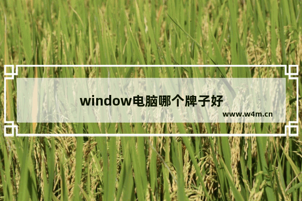 window电脑哪个牌子好