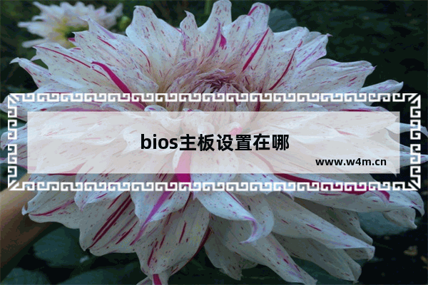 bios主板设置在哪