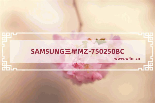 SAMSUNG三星MZ-750250BCN固态硬盘质量怎么样