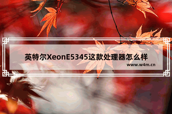 英特尔XeonE5345这款处理器怎么样