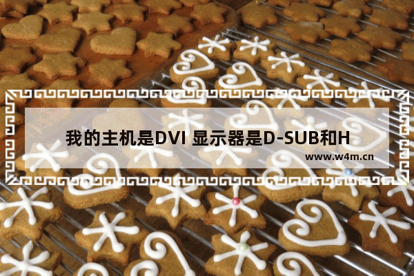 我的主机是DVI 显示器是D-SUB和HDMI的 怎么连接啊