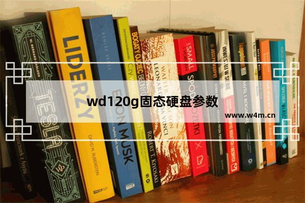 wd120g固态硬盘参数