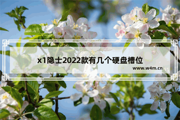 x1隐士2022款有几个硬盘槽位