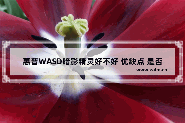 惠普WASD暗影精灵好不好 优缺点 是否值得买