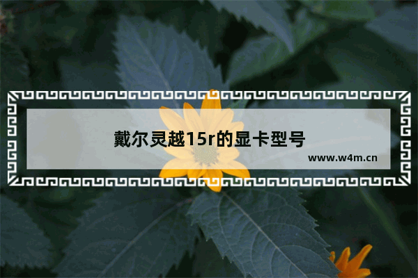 戴尔灵越15r的显卡型号