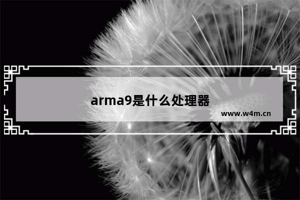 arma9是什么处理器