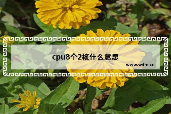 cpu8个2核什么意思