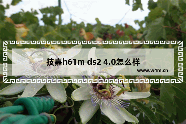 技嘉h61m ds2 4.0怎么样