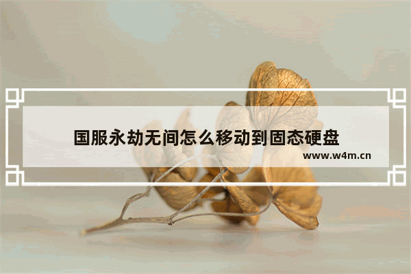 国服永劫无间怎么移动到固态硬盘