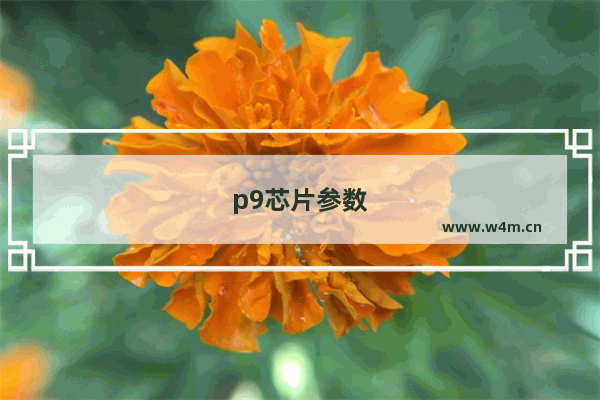 p9芯片参数