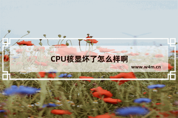 CPU核显坏了怎么样啊