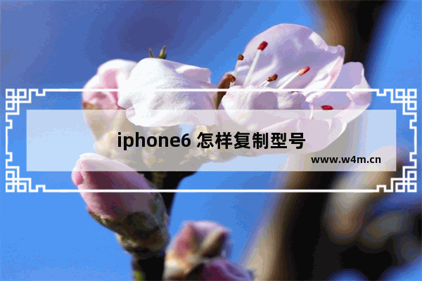 iphone6 怎样复制型号