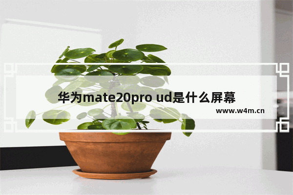 华为mate20pro ud是什么屏幕