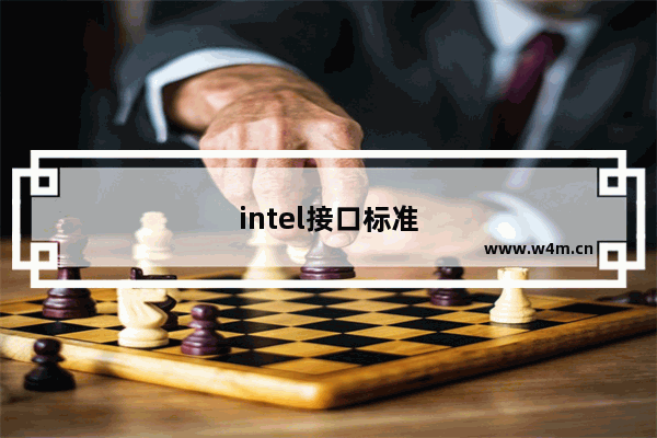 intel接口标准